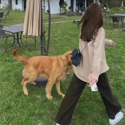 南美之恋