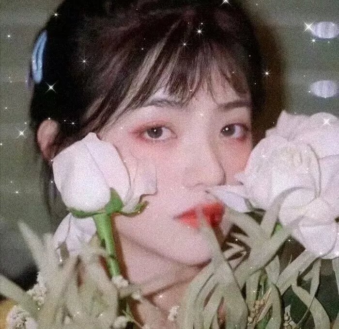 圣战豪情